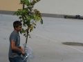 IMG 0006