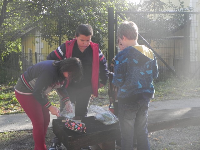 DSCN0767