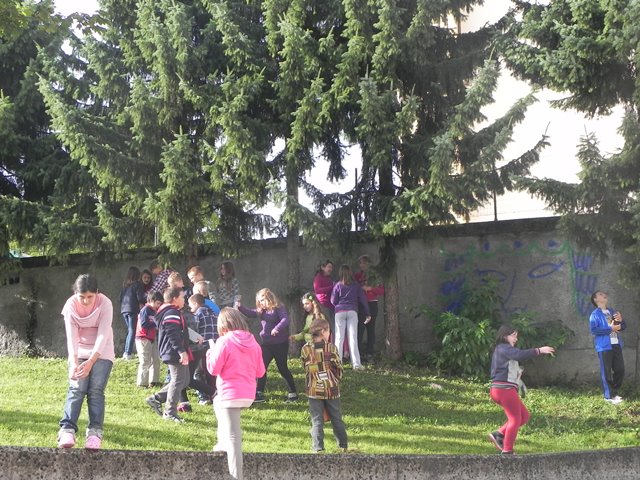 DSCN0769