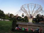 IMG 3530