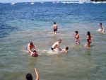 IMG 3586