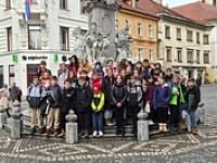 6021510369972572401 1