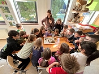 20260305 074913068 iOS 1