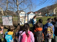 20260306 080739156 iOS 1