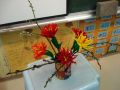 DSC00536