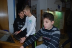 hisa ekperimentov21