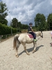 IMG 4228