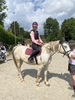 IMG 4230