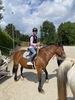 IMG 4231