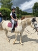 IMG 4238