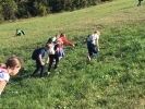 IMG 7058