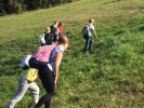 IMG 7059