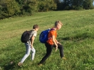IMG 7061