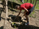 IMG 0374