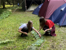 IMG 0654