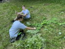 IMG 0661