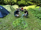 IMG 0681