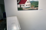 IMG 7357