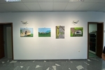 IMG 7361