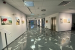 IMG 7363