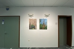 IMG 7364