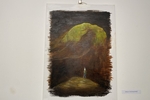 IMG 7370