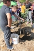 sajenje2018 6