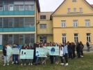 Gimnazija Brezice