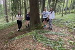 IMG 7559