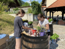 IMG 0774