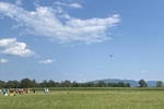 5 mod