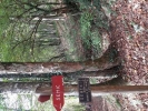 Image0009