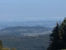 IMG 7075