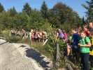 IMG 7081