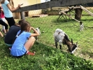 IMG 0902