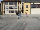IMG 1325
