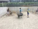 IMG 3152