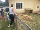 IMG 3161