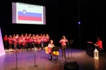 proslava ob dnevu saminenot2017 5