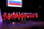 proslava ob dnevu saminenot2017 9