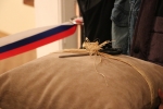 IMG 8386