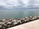 IMG 4589