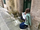 IMG 4602