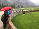planica 2dan 7