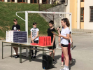 IMG 2046