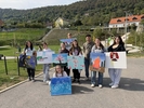 IMG 7090