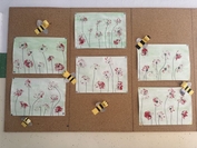 thumbnail IMG 5264 1