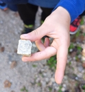 geometrijske oblike in simboli v naravi3 1