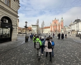 IMG 2985 1