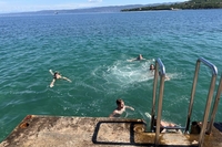 IMG 7136 1